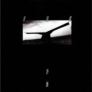 冷柔鞋底耳光svk
