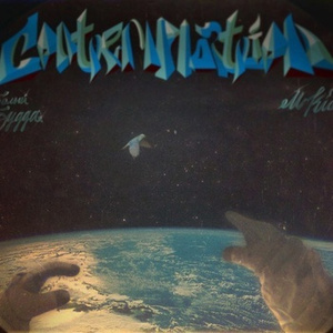 冷柔鞋底耳光svk
