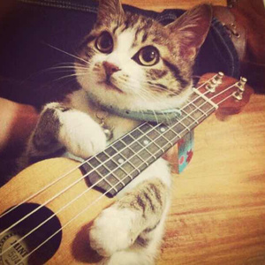 冷柔鞋底耳光svk
